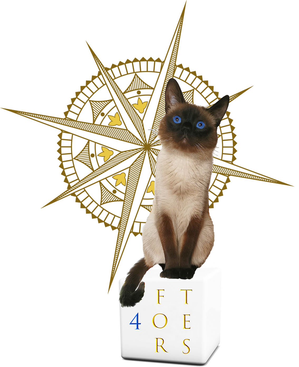 Skip logo wind final